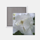 Iris bloemenmagneet magneet (Voorkant / Achterkant)