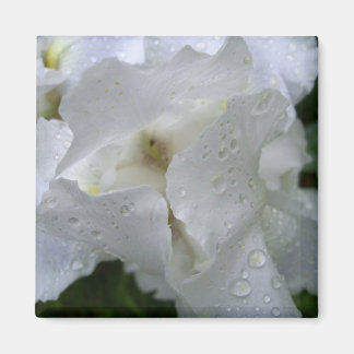 Iris bloemenmagneet magneet