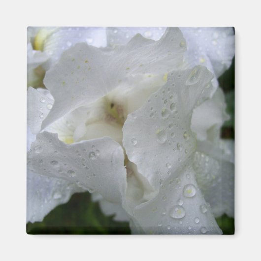 Iris bloemenmagneet magneet (Voorkant)