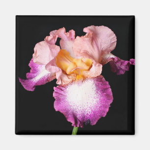 Iris bloemenmagneet magneet
