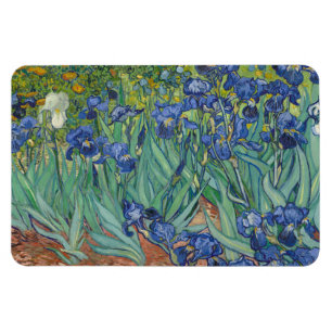 Iris, bloemenschilderij in olieverf, Vincent Van G Magneet