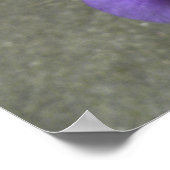 Iris-blokfoto Poster (Hoek)