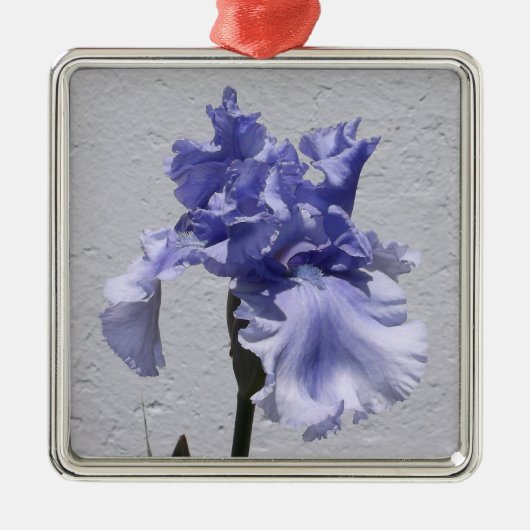 Iris Bloom Metalen Ornament (Voorkant)