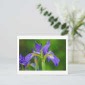 Iris Blue Flower Briefkaart (Staand voorkant)