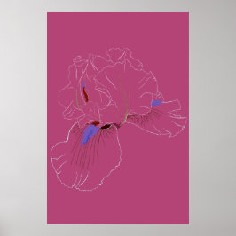 Iris Botanical Line Art Poster