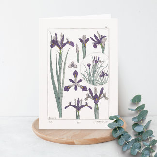 Iris Botanical Maurice Verneuil Blank Card Kaart