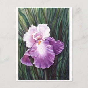 Iris Briefkaart