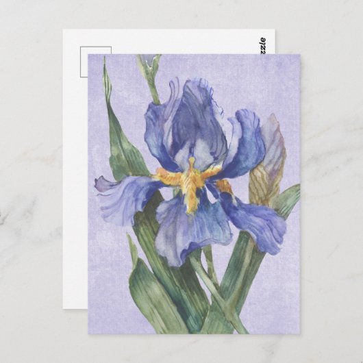 Iris Briefkaart (Voorkant / Achterkant)