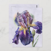 Iris Briefkaart (Voorkant / Achterkant)