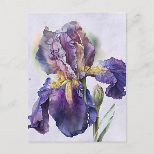 Iris Briefkaart (Voorkant)