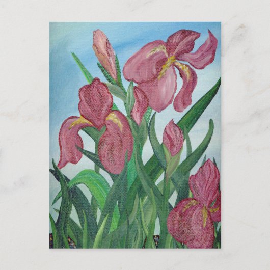 Iris Briefkaart (Voorkant)