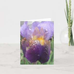 Iris-briefkaart Kaart