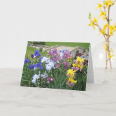 iris brook grande carte blanche (Fleur jaune)