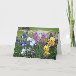 iris brook grande carte blanche