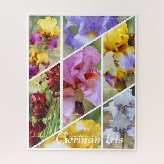 Iris d'Allemagne_01 [Puzzle : 520P] Puzzle (Vertical)