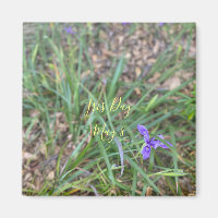 Iris Day