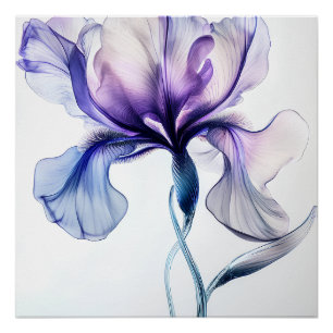 Iris Delicat Perfect Poster