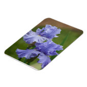 Iris Delight Magneet (Linkerzijde)