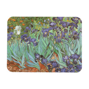 Iris door Vincent van Gogh Magneet