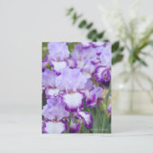 Iris "Eagle Flight" (Briefkaart) ポ カ ー ド Briefkaart (Staand voorkant)