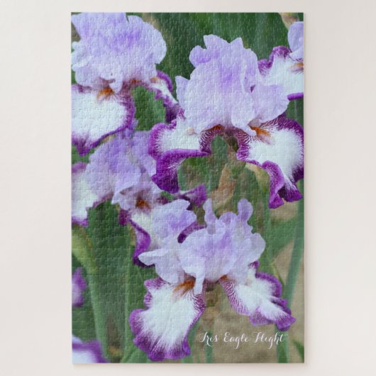 Iris"Eagle Flight" (puzzel: 1014P) Legpuzzel (Verticaal)