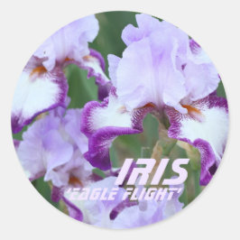 Iris"Eagle Flight" [Rondzegel] ラ ン ド シ ル ウ Ronde Sticker