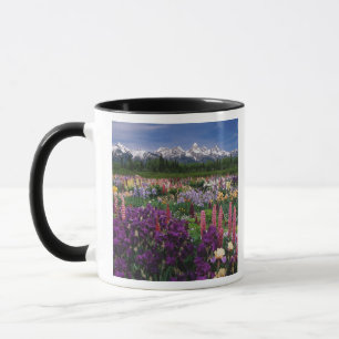 Iris en Lupine garden en Teton Range; Mok