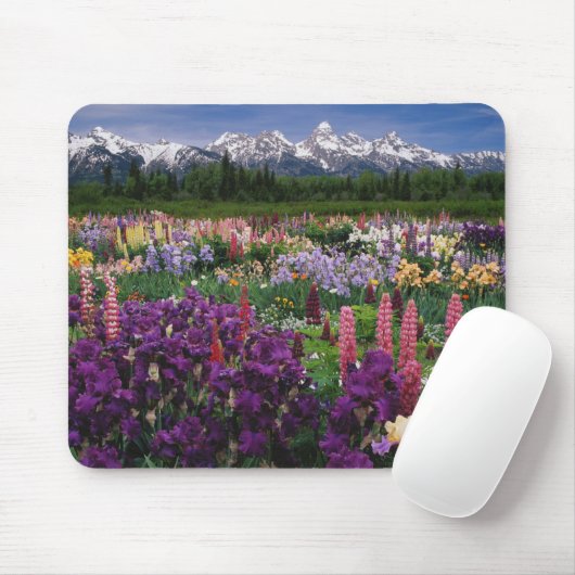 Iris en Lupine garden en Teton Range; Muismat (Met muis)