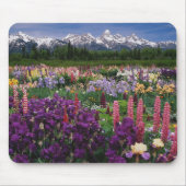 Iris en Lupine garden en Teton Range; Muismat (Voorkant)