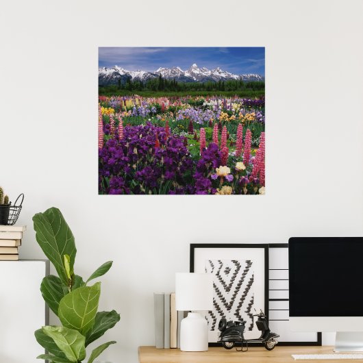 Iris en Lupine garden en Teton Range; Poster (Thuiskantoor)