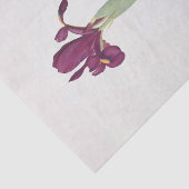 Iris Filifolia van William Dykes Tissuepapier (Detail)