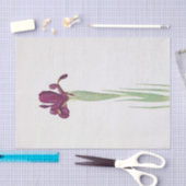 Iris Filifolia van William Dykes Tissuepapier (Craft)