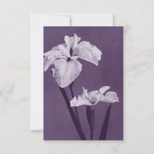 Iris Fine Art Bedankkaart