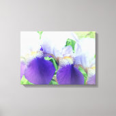 Iris Fleurs - toile de photo Imprimer (Recto)