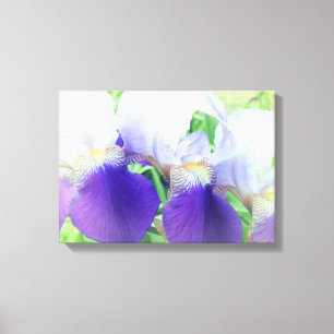 Iris Fleurs - toile de photo Imprimer