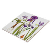 Iris Floral Garden Botanical Flower Tile Tegeltje (Zijkant)