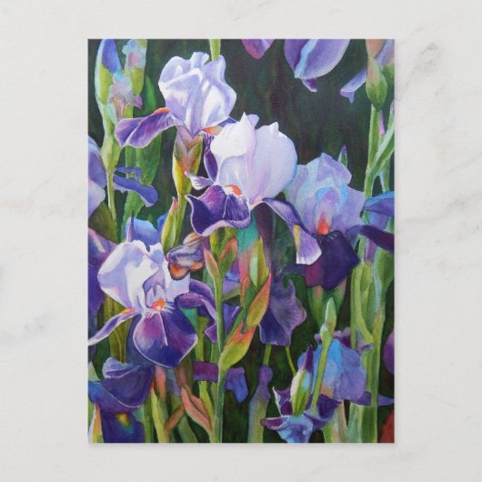 Iris Flower Garden Briefkaart (Voorkant)