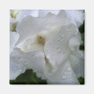 Iris flower magnet magneet