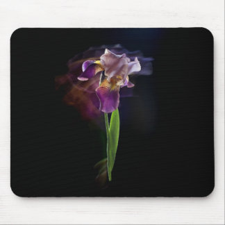 Iris flower on a black background. Long exposure. Muismat
