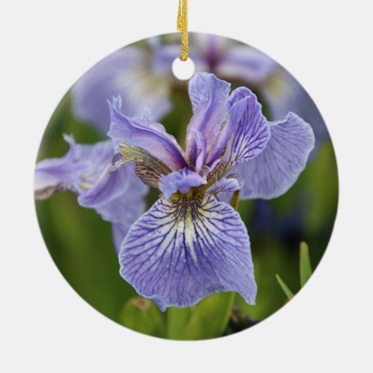 Iris Flower Ornament (Achterkant)