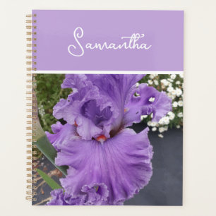 Iris Flower Paars Lavender Lila Schort Planner