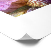 Iris Flower Poster (Hoek)