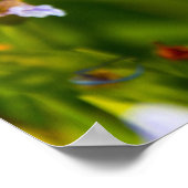 Iris Flower Poster (Hoek)