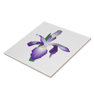 Iris Flower Tegeltje