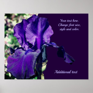 Iris Flower Voeg Jouw tekst gepersonaliseerd toe Poster