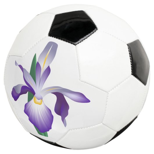 Iris Flower Voetbal (Drie kwart)