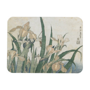 Iris Flowers and Grasshopper, c.1830-31 Magneet