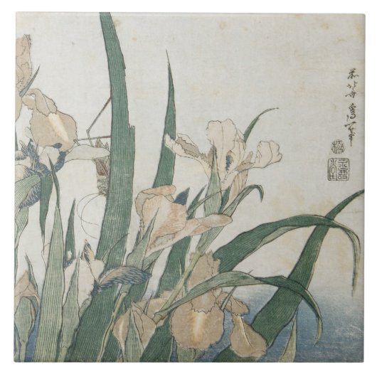 Iris Flowers and Grasshopper, c.1830-31 Tegeltje (Voorkant)