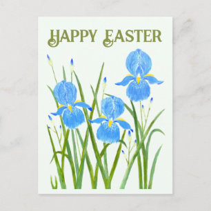 Iris Flowers Briefkaart