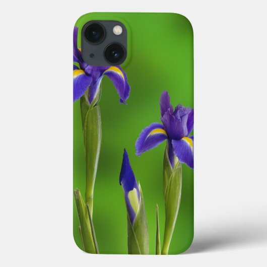 Iris Flowers Case-Mate iPhone Case (Achterkant)